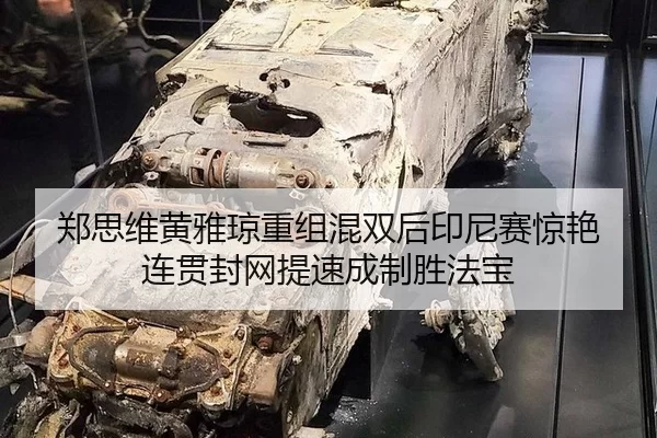 zheng-si-wei-huang-ya-qiong-chong-zu-hun-shuang-hou-yin-ni-sai-jing-yan-lian-guan-feng-wang-ti-su-cheng-zhi-sheng-fa-bao-2-271.jpg